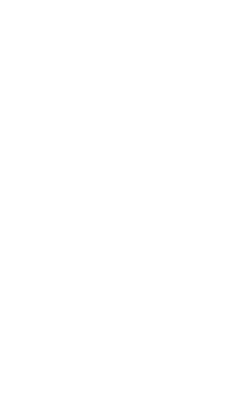 Barbarian Basketball Systems